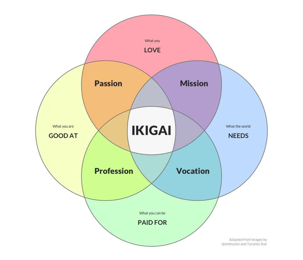 ikigai brief