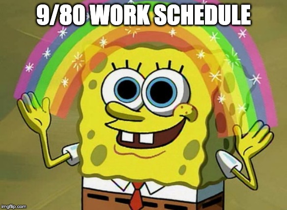 9/80 Work Schedule